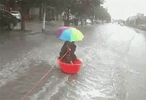 河北，梦想起航之地，自信与成就感的培育摇篮