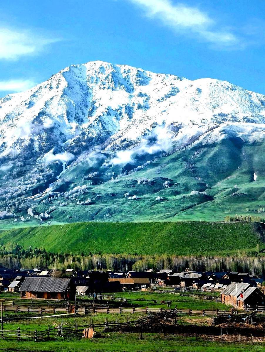 新疆的甜蜜日常，友情、爱与陪伴的温馨篇章