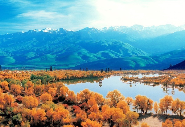 新疆科技新纪元,前沿探索与智能生活盛宴