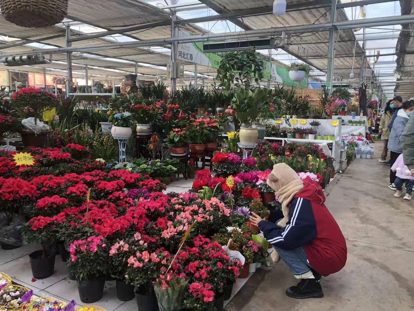 石家庄小巷深处的特色小店，探寻石家庄的隐秘宝藏