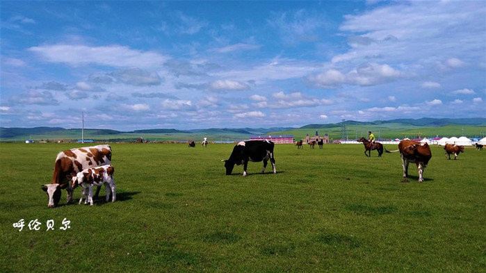 呼伦贝尔，草原诗意的天堂